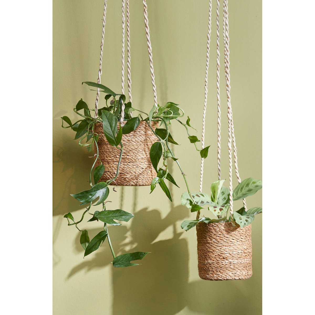 Ensemble de paniers à plantes en jonc de mer tressé ATLANTIC marron clair, MICA DECORATIONS