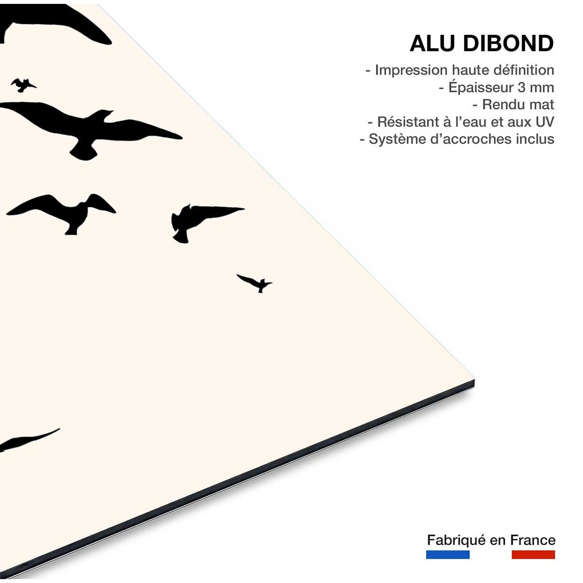 Tableau Envolee Up and Away tableau alu dibond, HEXOA
