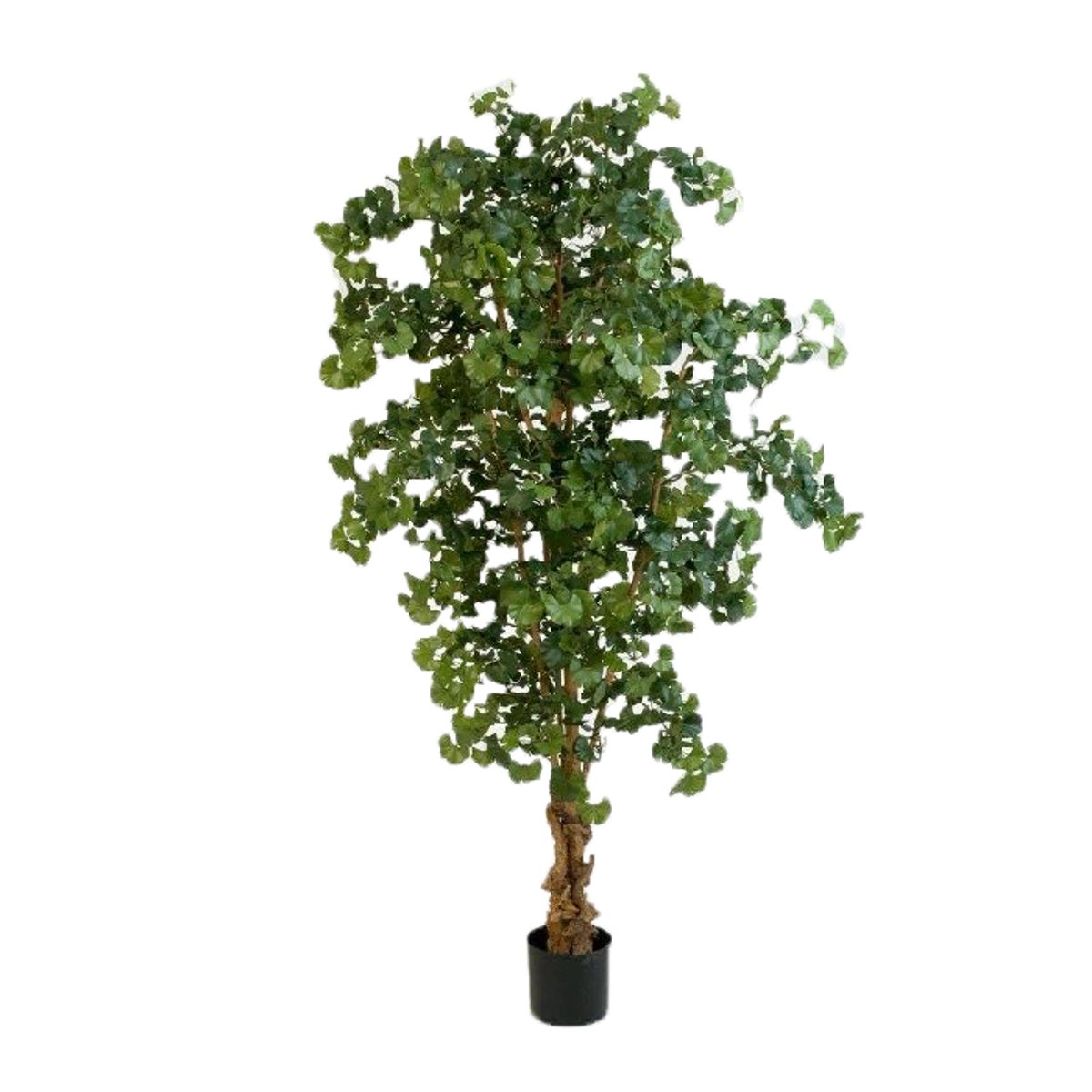 Gingko forestier artificiel H 210 cm vert, ARTIFICIELLES