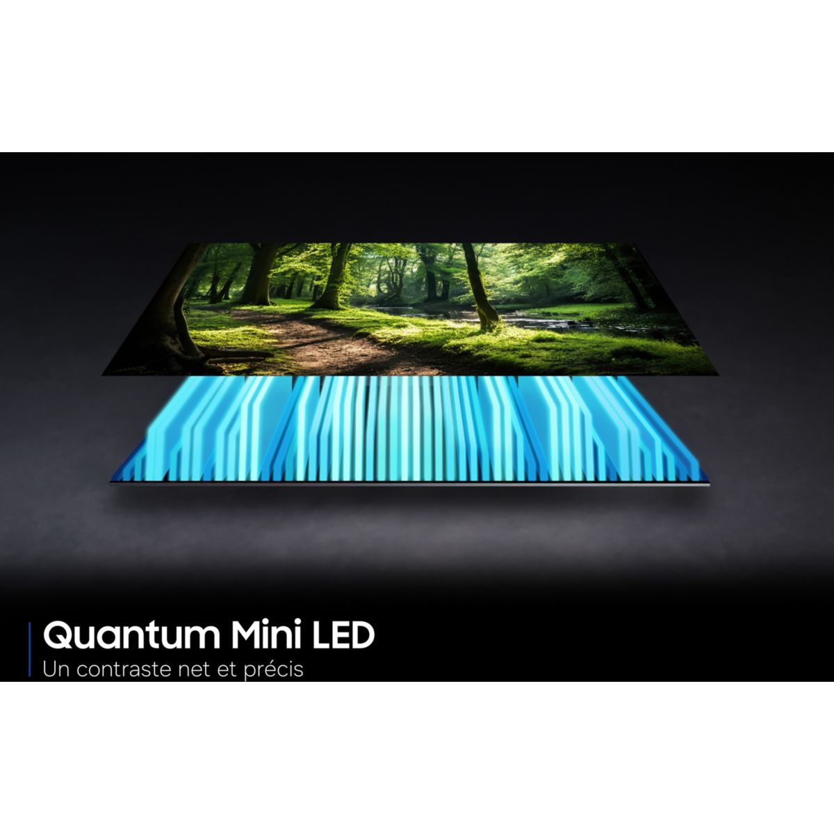 TV Mini LED TQ65QN74H (2026) 65" (163 cm) 4K - Smart TV, NeoQLED (contrastes intenses) couleur unique, SAMSUNG