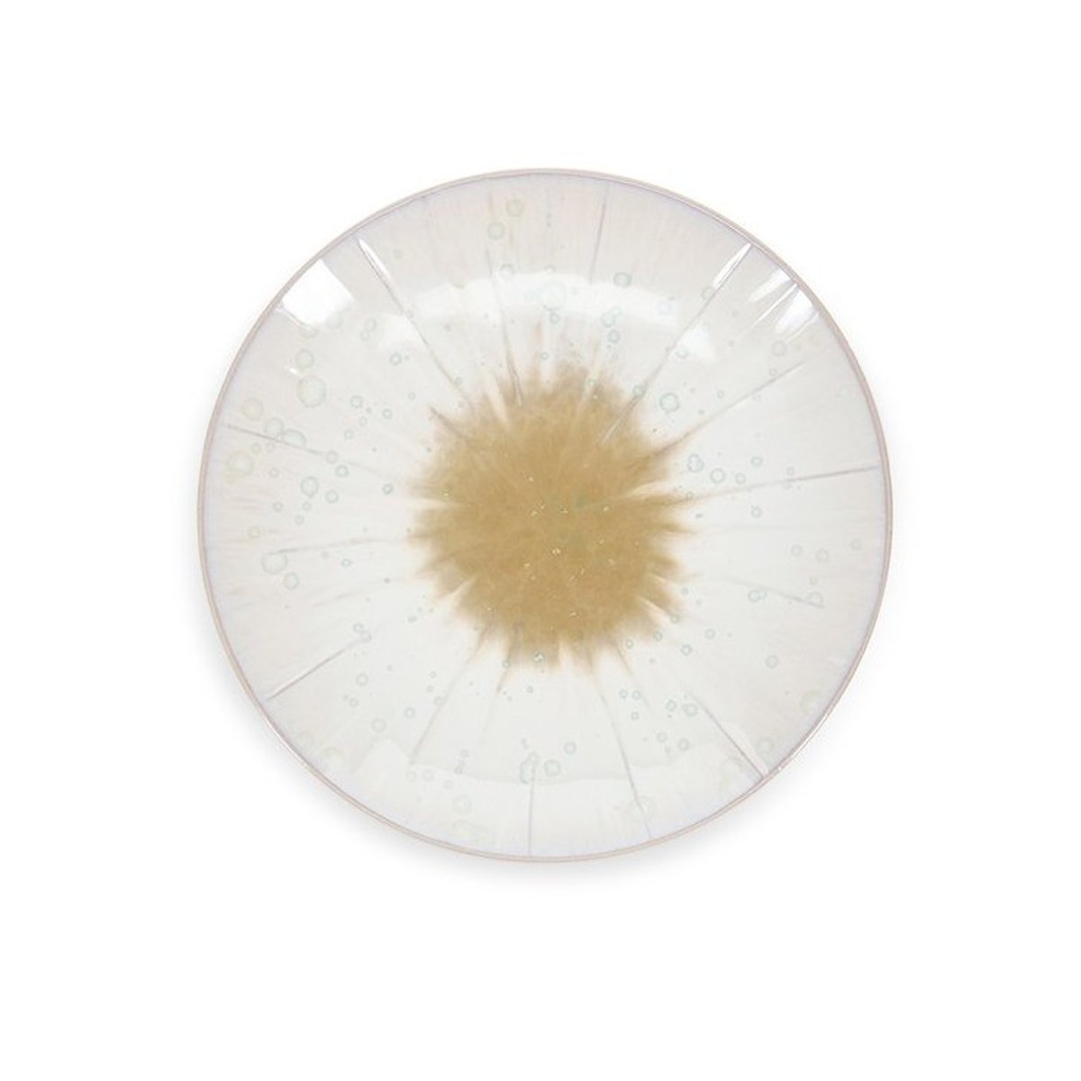 Lot de 4 assiettes 18 cm ECLIPSE beige, SP COLLECTION