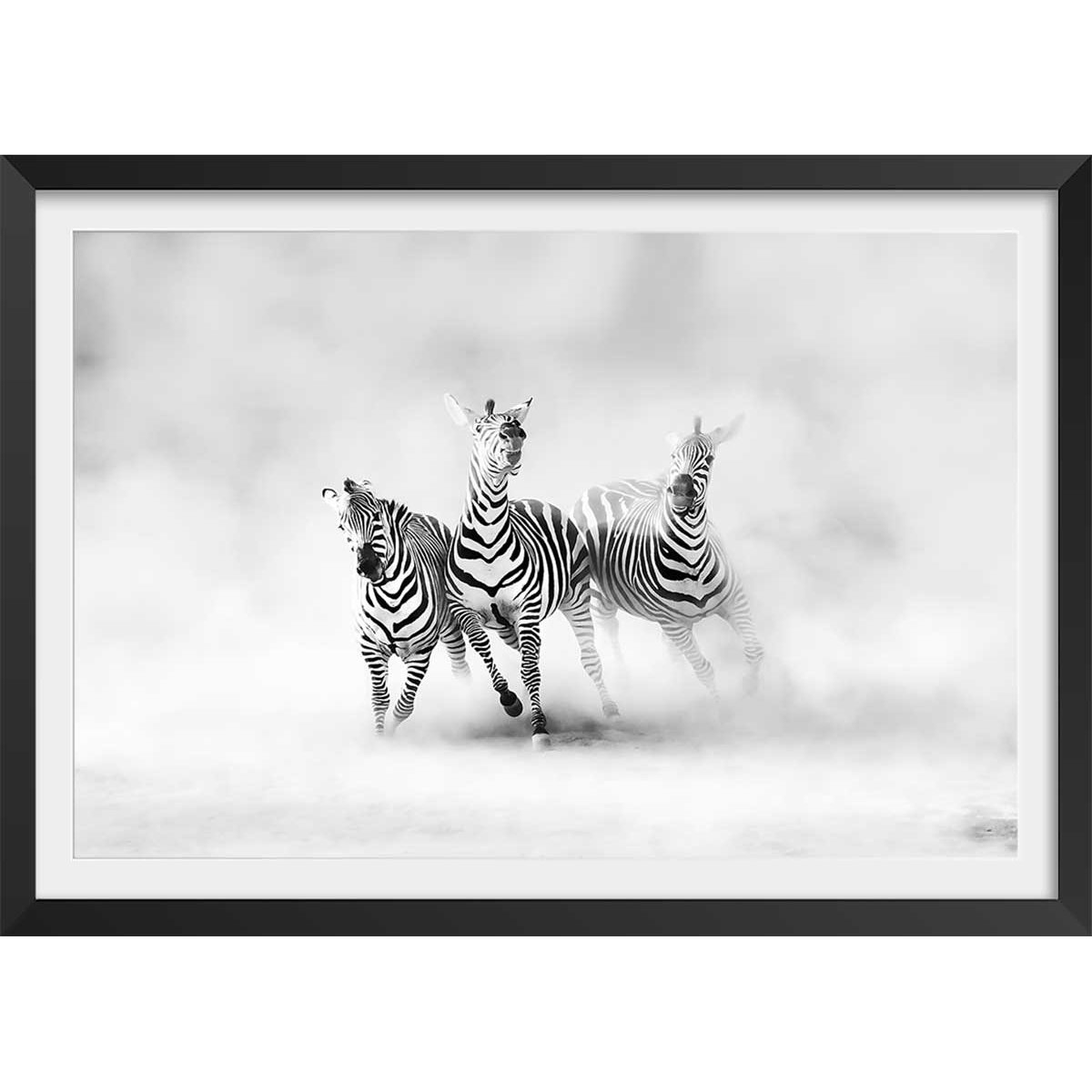 Affiche animaux racing stripes affiche + cadre en bois - noir, HEXOA