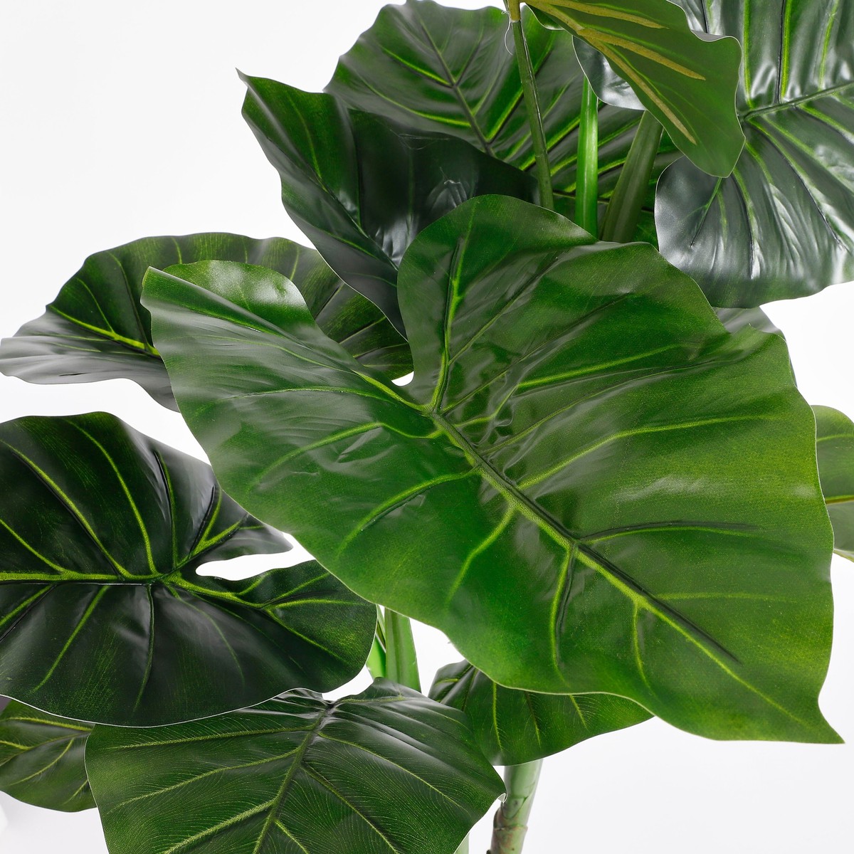 Plante artificielle TARO vert, MICA DECORATIONS