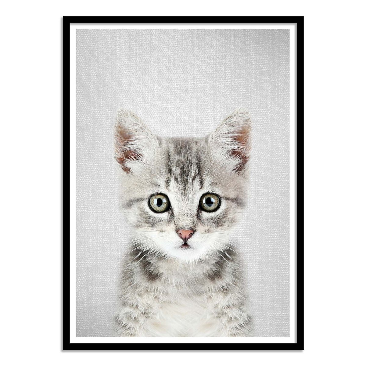 Affiche d'art - Kitten - Gal Design affiche d'art, WALL EDITIONS