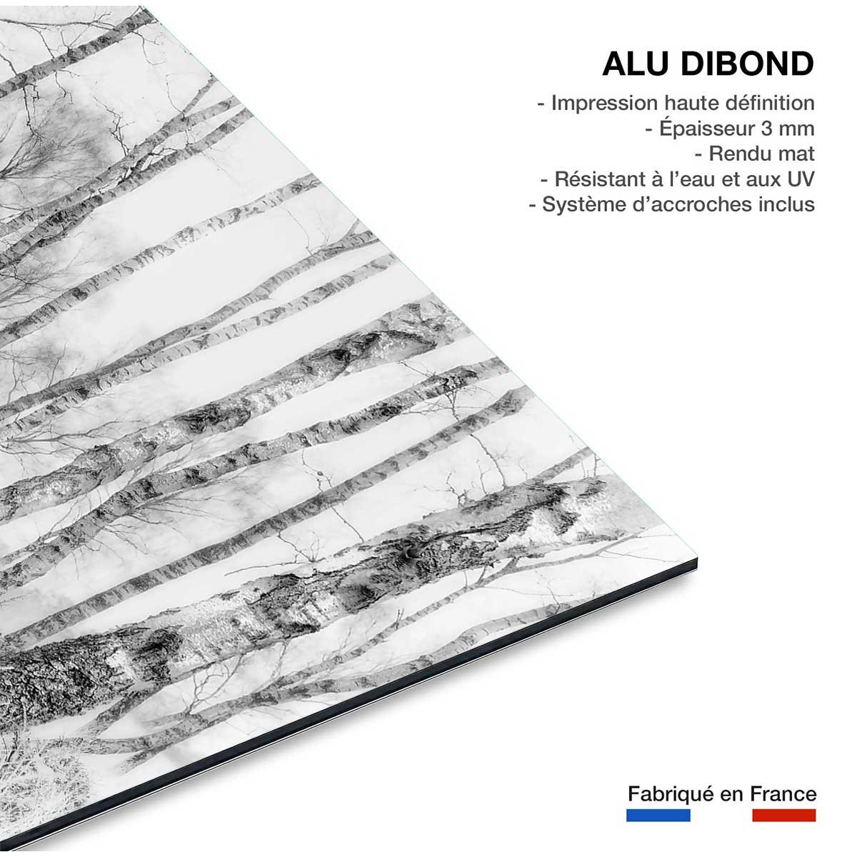 Tableau bouleaux en monochrome tableau alu dibond, HEXOA