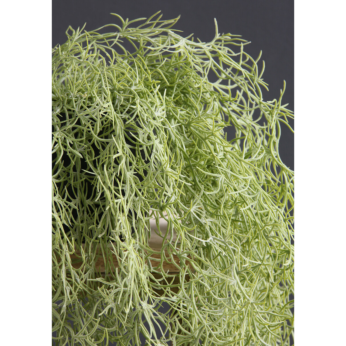 70cm Artificial Trailing Spanish Moss / Tilandsia Plant dark green/light green, SO'HOME