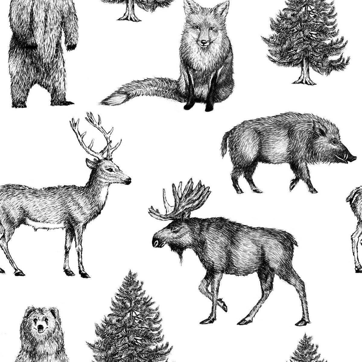 Papier peint Animaux de nos forêts noir, blanc, SUPERFRESCO EASY