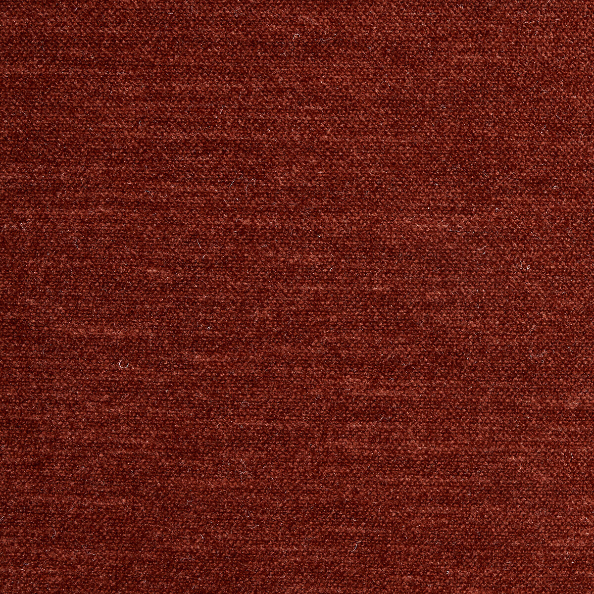 Sillón de terciopelo con estructura lacada, Dilma rojo birmano, AM.PM