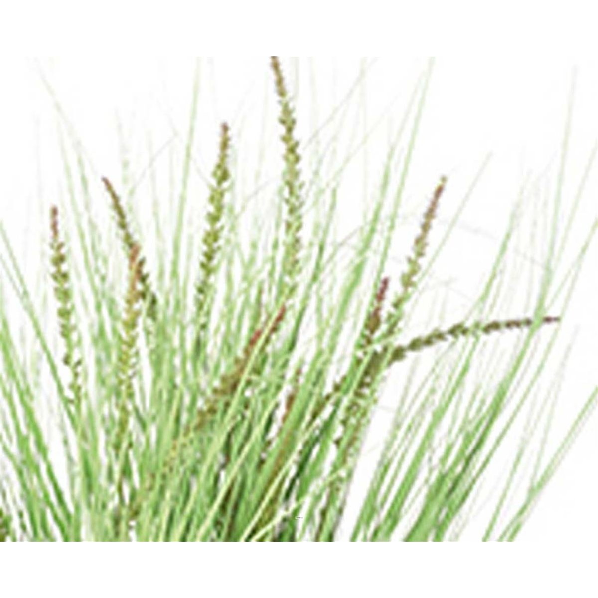 Herbe artificielle en piquet H70 cm verte v002239, ARTIFICIELLES