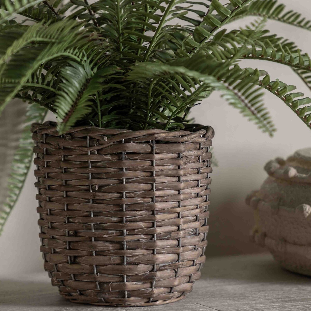 81cm Potted Fern Plant green, ÉDITÉ
