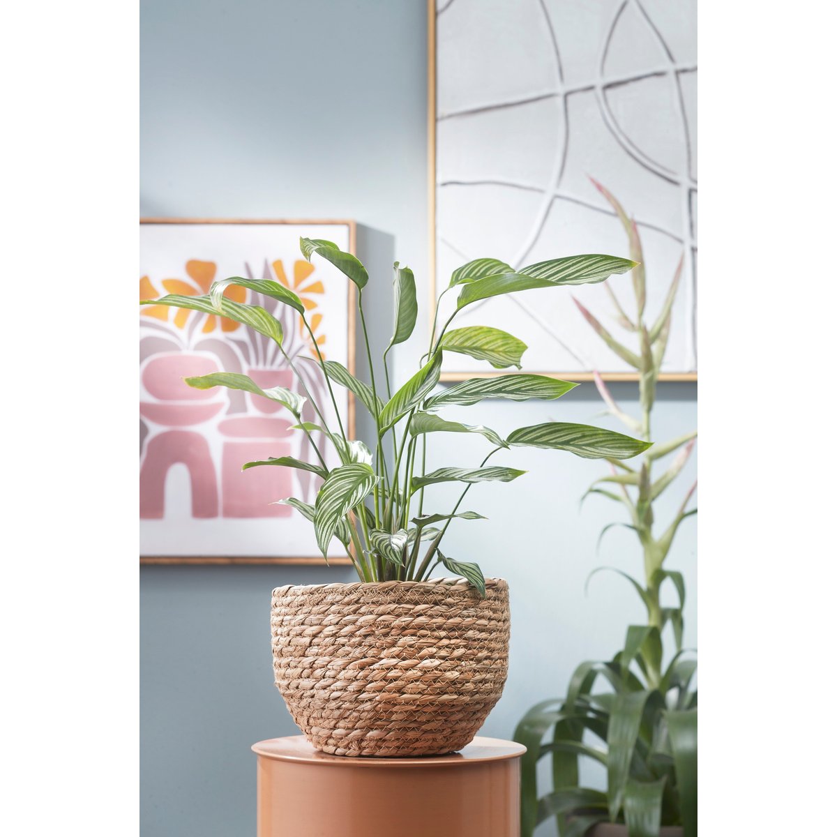 Panier à plantes en jonc de mer tressé Ø26 cm JORCK marron clair, MICA DECORATIONS