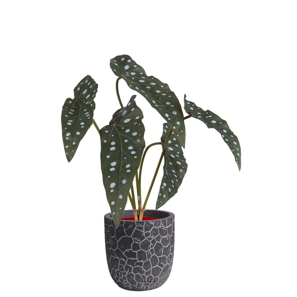 Begonia Maculata factice en pot v002239, ARTIFICIELLES
