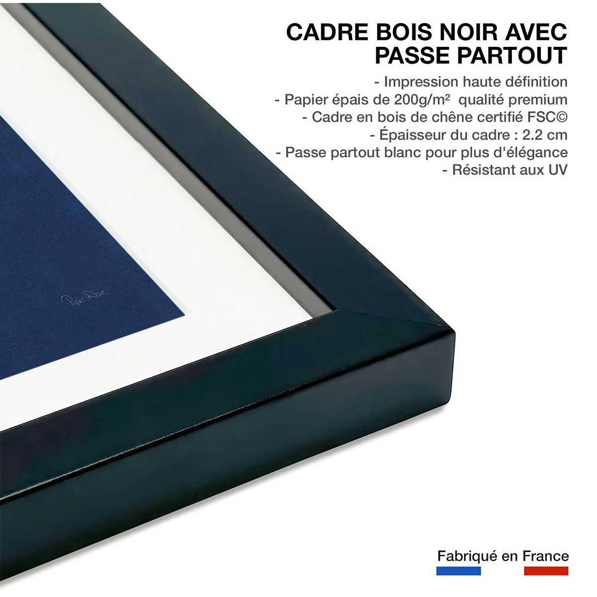 Affiche Fougère d'argent affiche + cadre en bois - noir, HEXOA