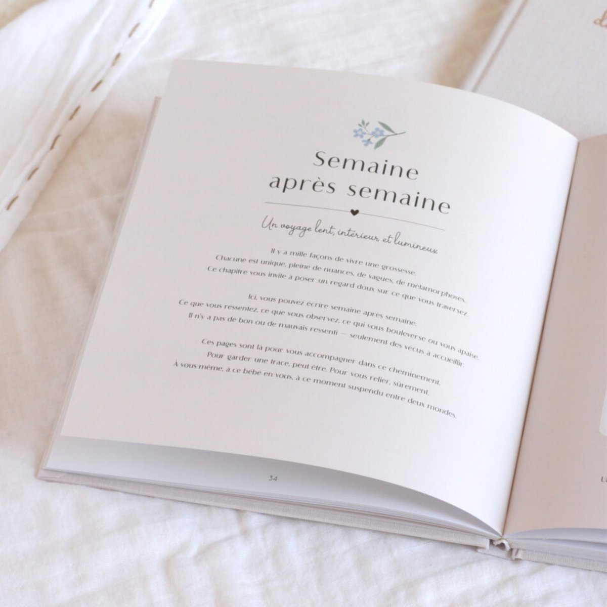 Journal de grossesse et post-partum beige, ZÜ