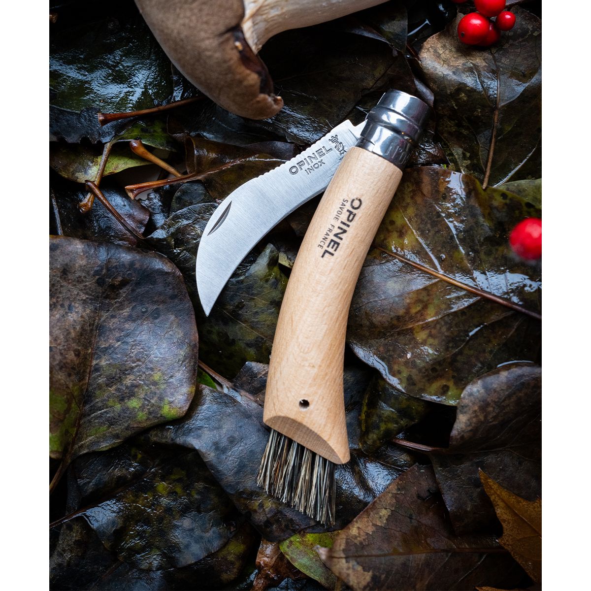 Couteau d'office Cuisine Nomade champignon marron, OPINEL