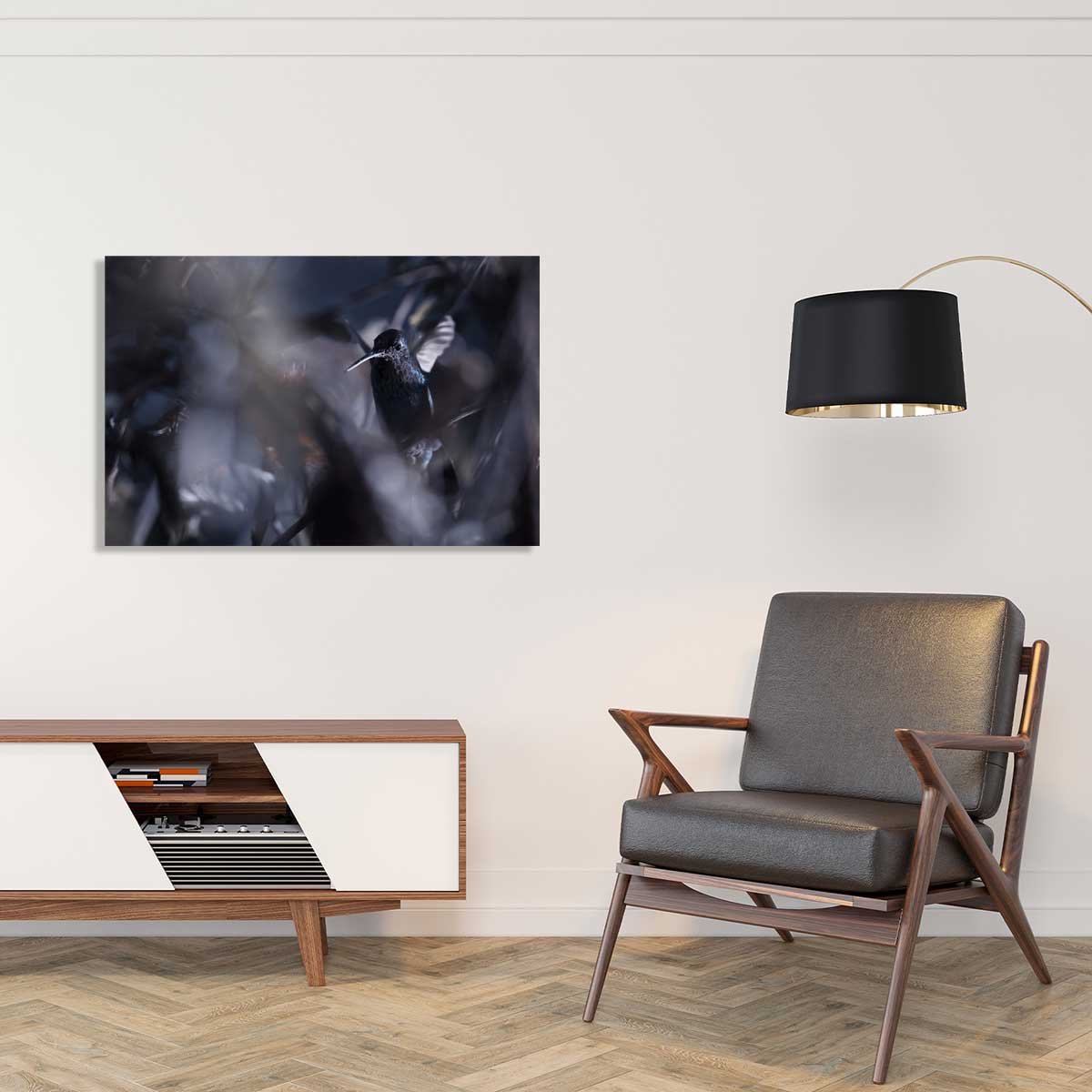 Tableau animaux - La petite étoile d' equateur tableau alu dibond, HEXOA