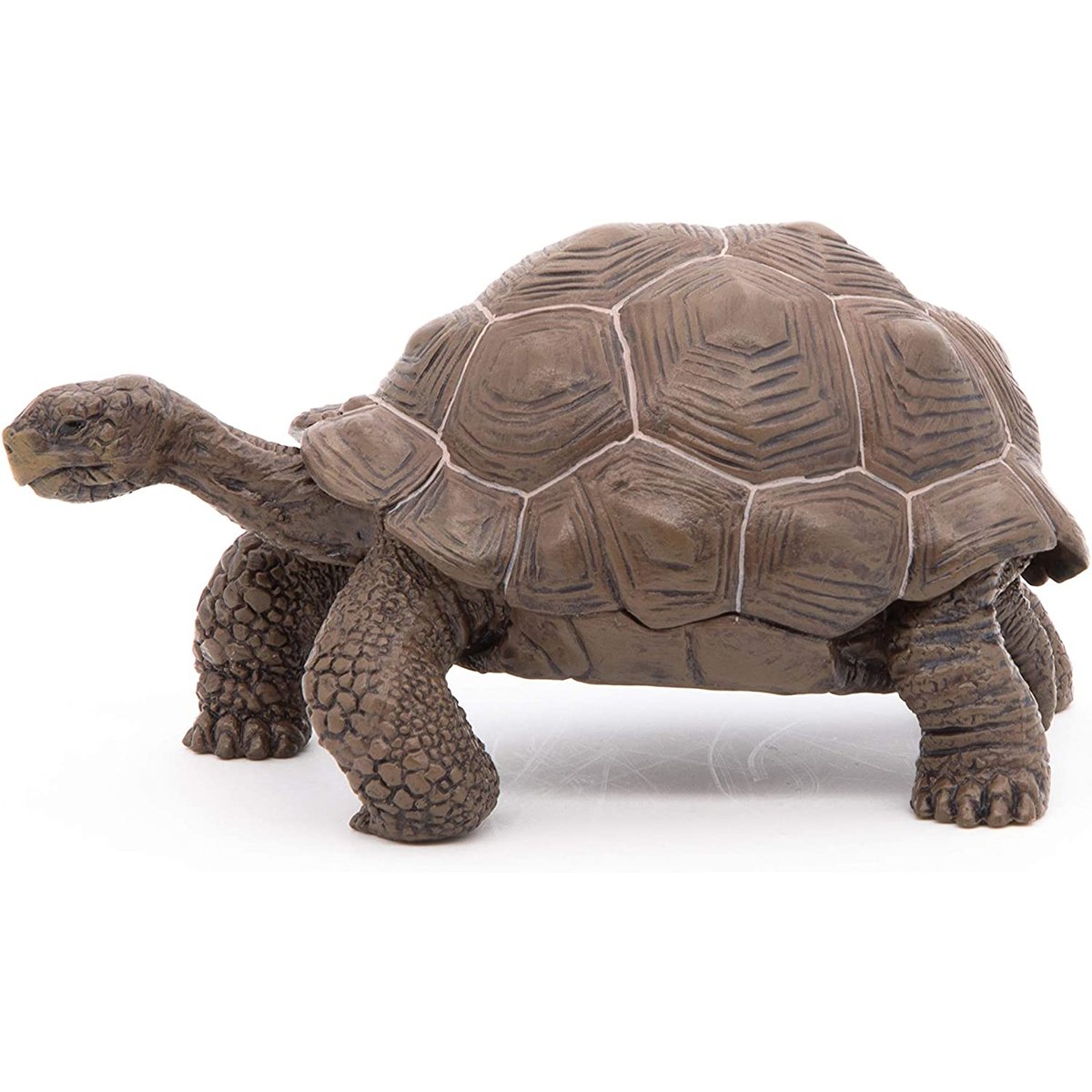 Figurine Tortue des galapagos marron, PAPO