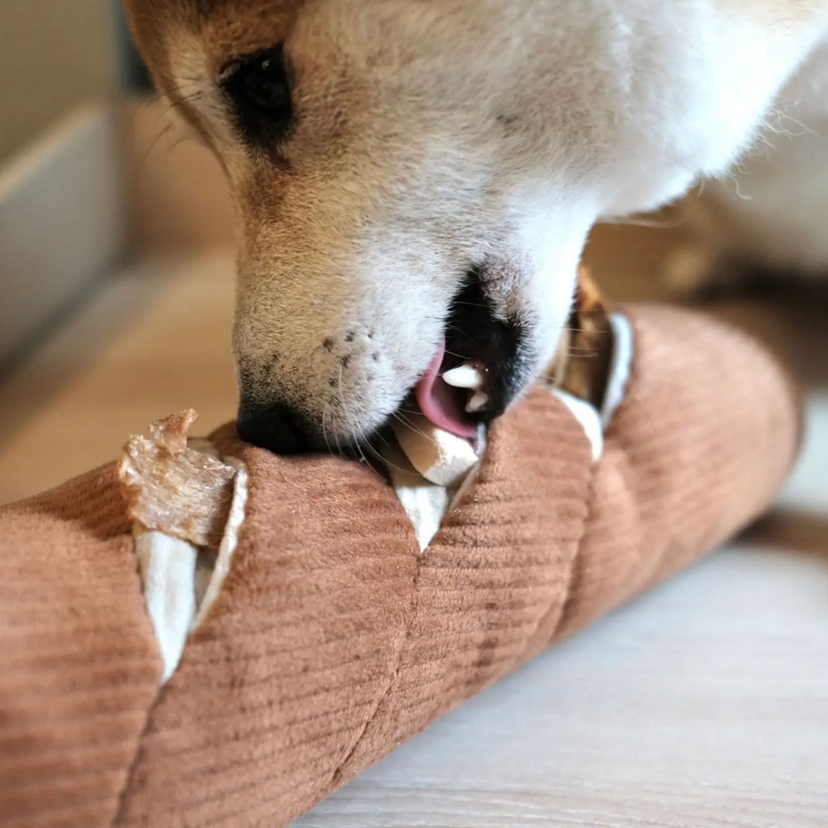 Jouet fouille baguette pour chien, BAGUETTE marron, LAMBWOLF COLLECTIVE
