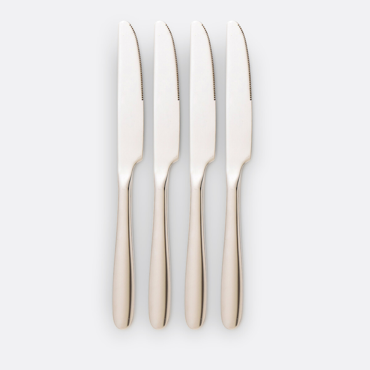 Lote de 4 cuchillos de acero inoxidable, Ebano inox, LA REDOUTE INTERIEURS