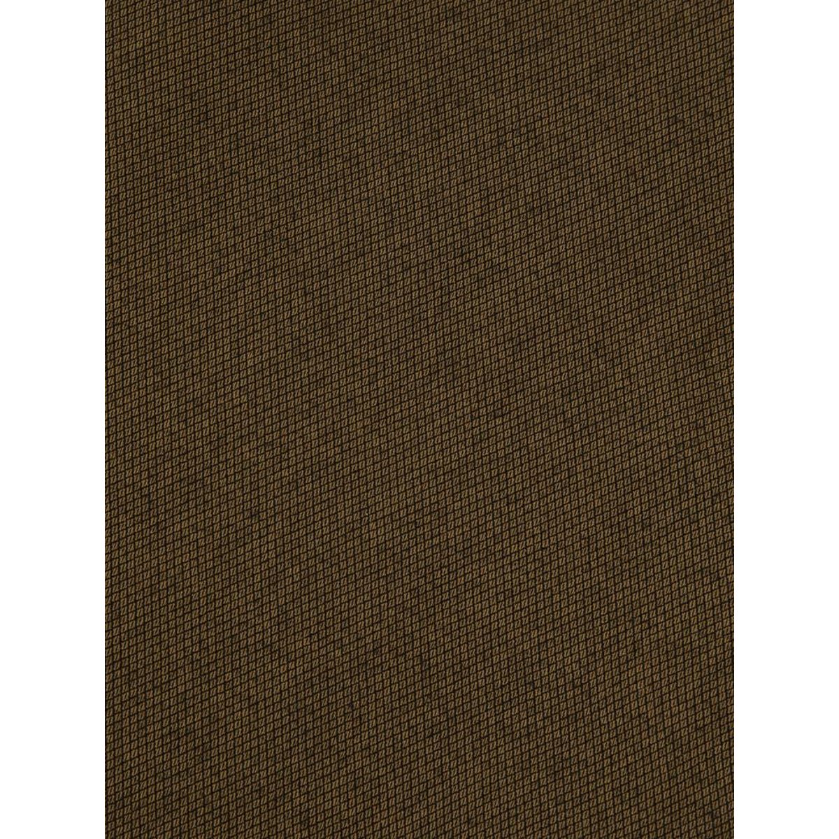 Pantalon RYLERFAN havane, TBS