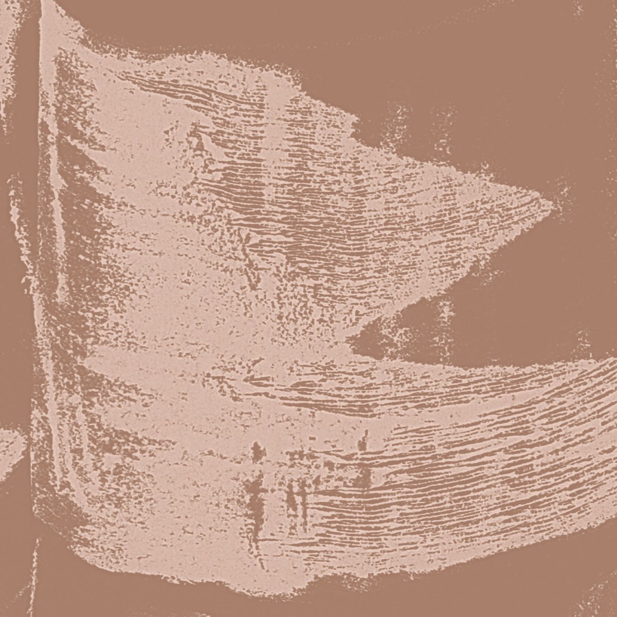 Papier peint panoramique Contreformes, Mauve 300 x 250cm brun, ACTE DECO