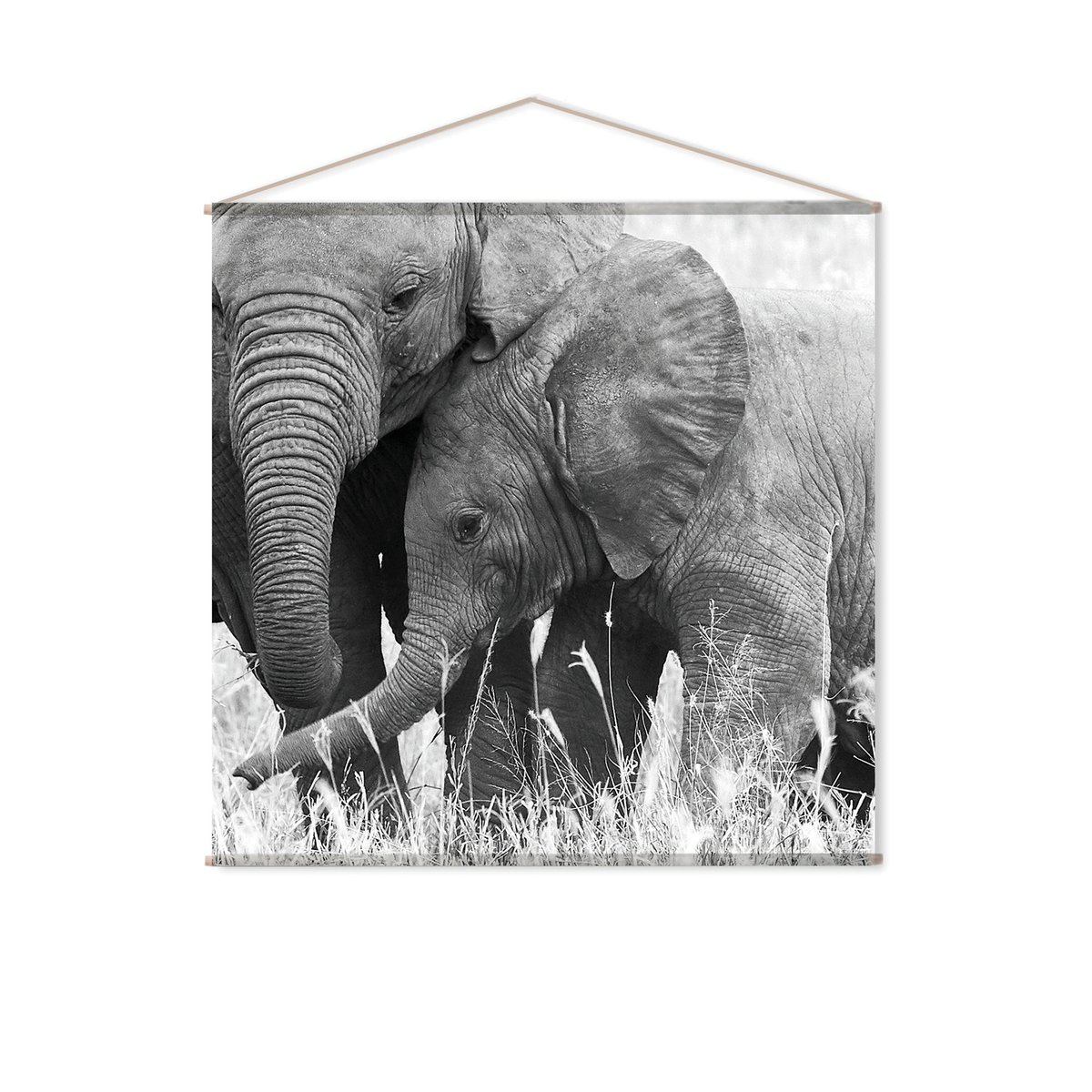 Toile murale ELEPHANT noir, HOME MAISON
