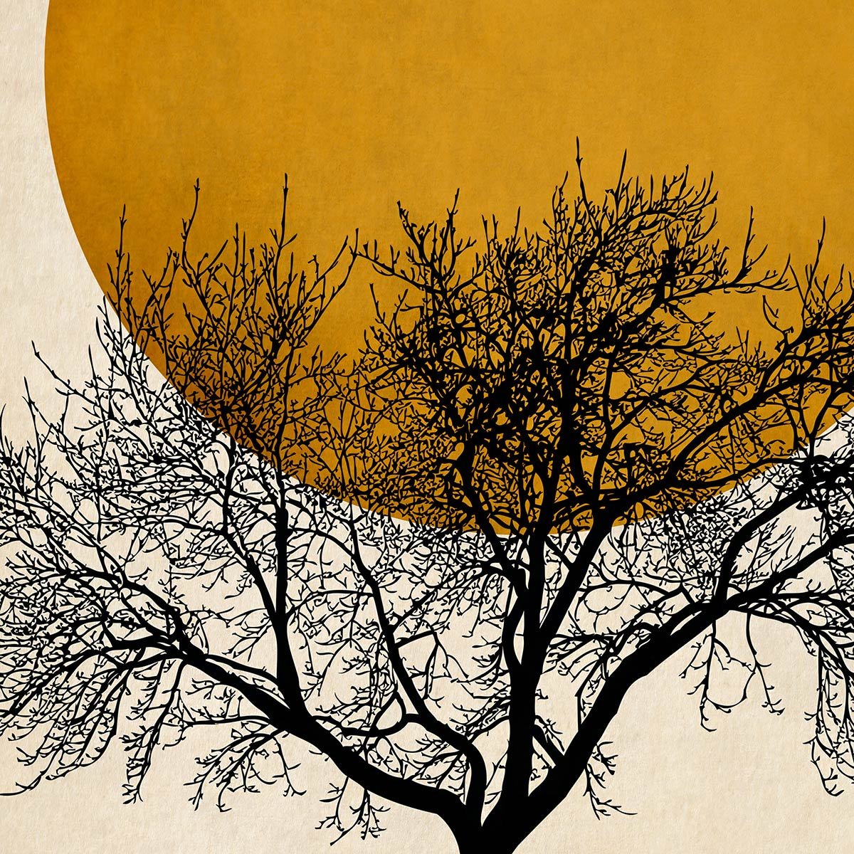 Papier peint soleil d or intissé, HEXOA