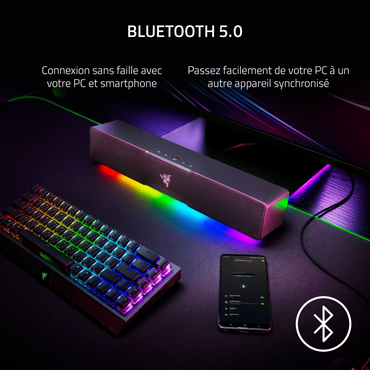 Enceinte PC LEVIATHAN V2 X couleur unique, RAZER