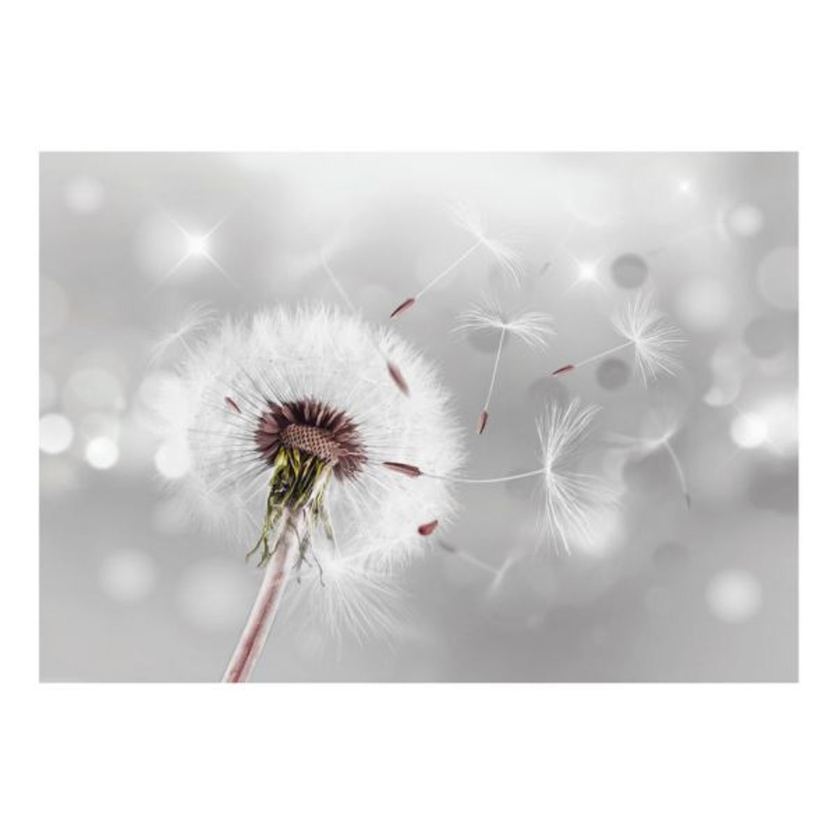 Papier peint intissé panoramique Fleurs Grasping the Invisible gris / argent, EDEN