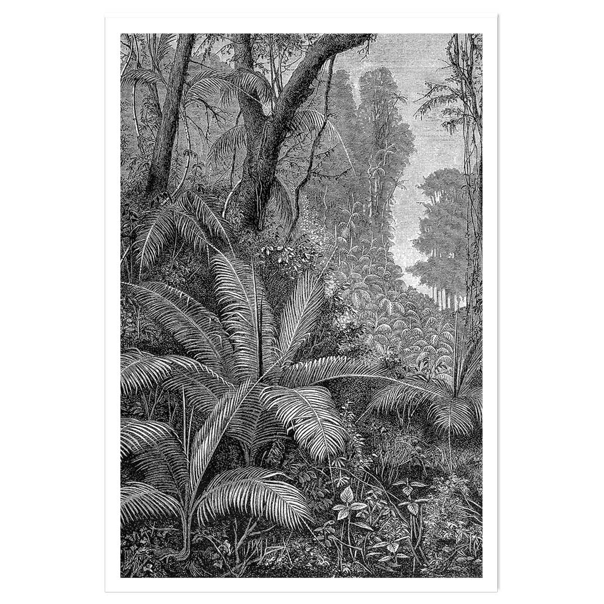 Affiche paysage jungle indienne affiche seule, HEXOA