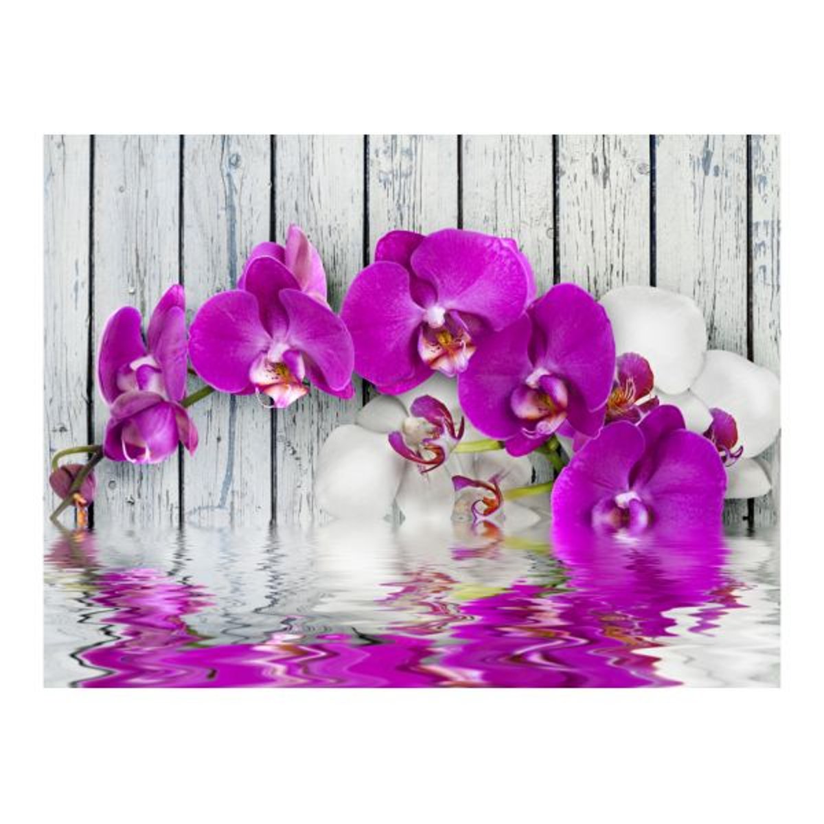 Papier peint intissé panoramique Fleurs Violet orchids with water reflexion gris / argent, EDEN