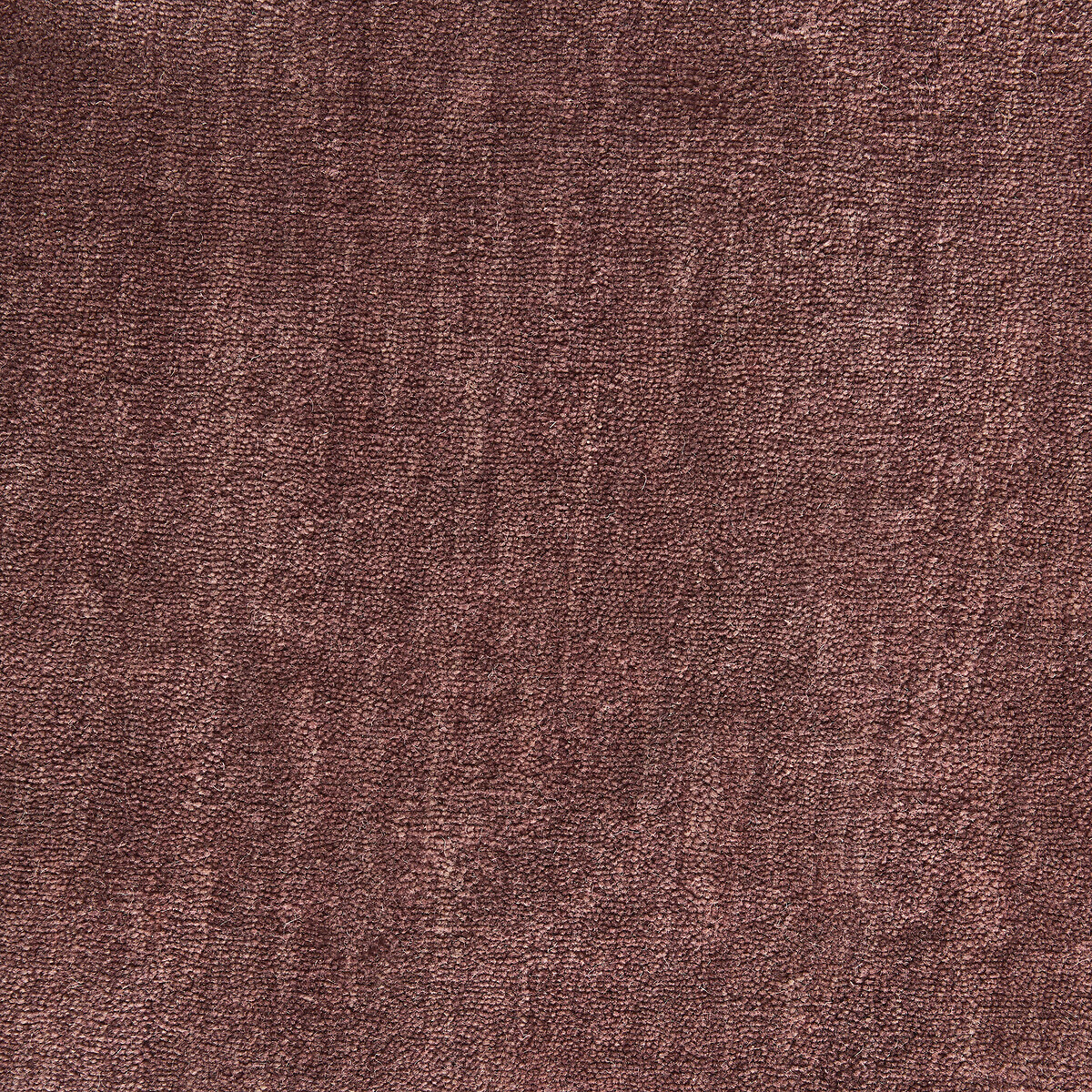 Tapis laine nouée main, Hotep lie de vin, AM.PM