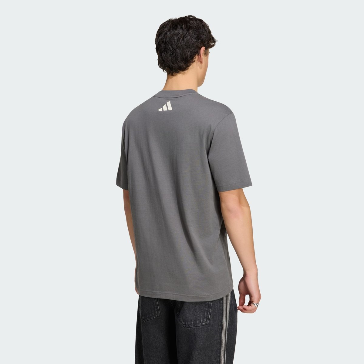 T-Shirt De L’équipe De Formule 1 Mercedes - Amg Petronas Flèches D’argent 03 Hommes granite / off white, adidas Performance