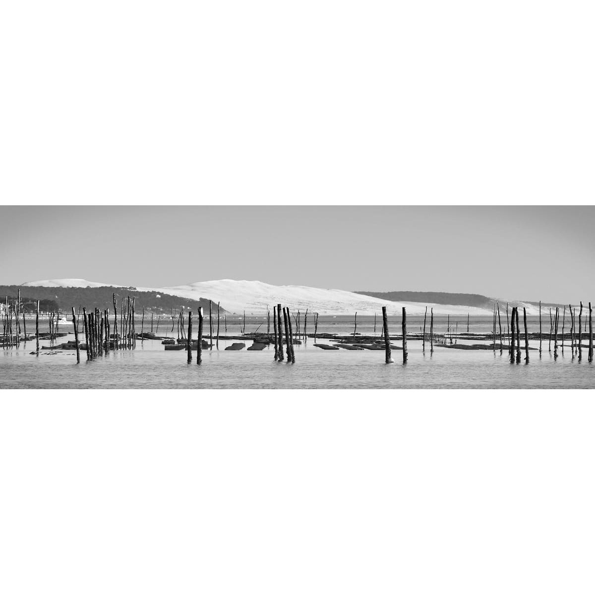 Tableau Mural Arcachon Noir Et Blanc MER tableaux sur toile-noir & blanc, CEANOTHE