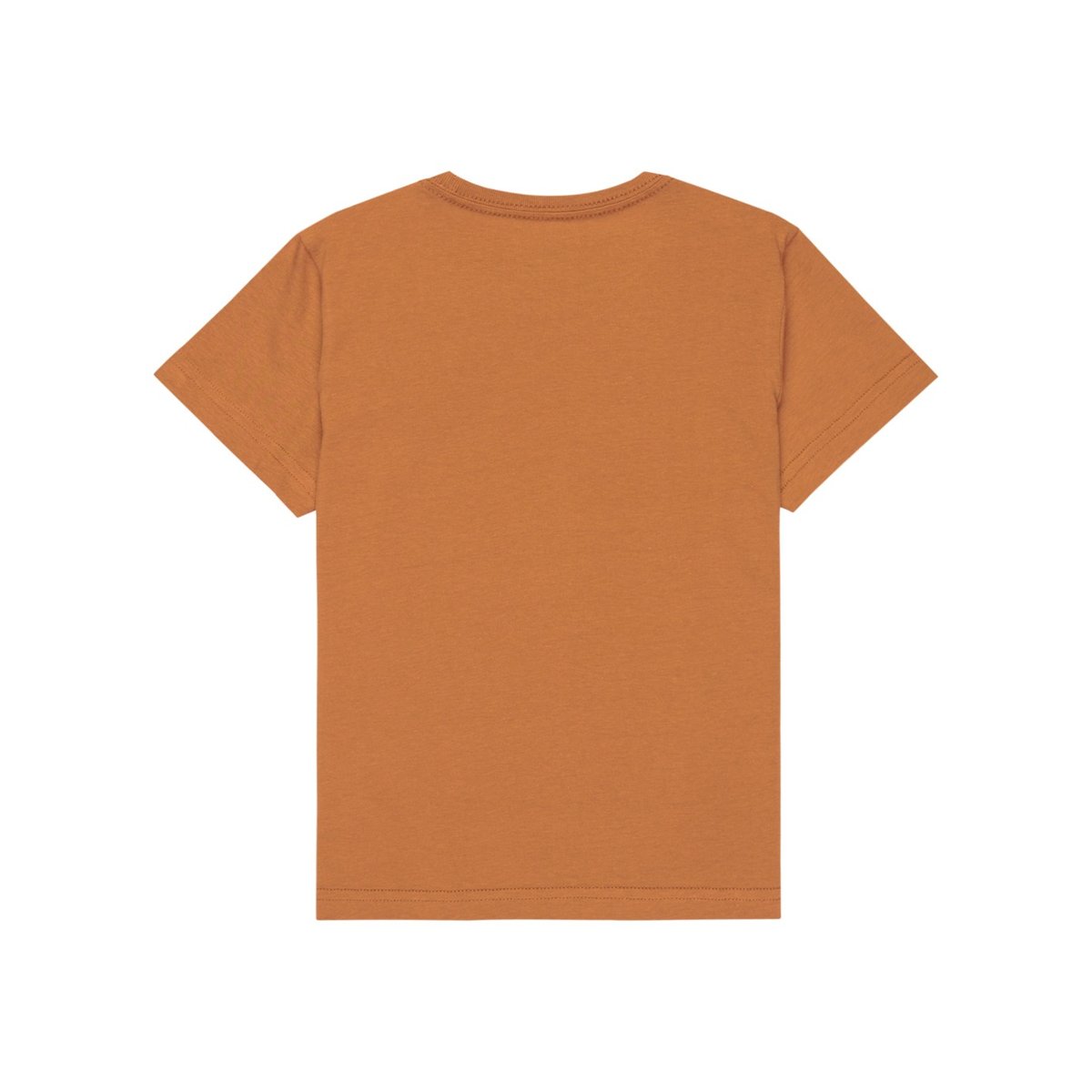 T-Shirt à manches courtes EV HUMAN WAVE marron tobacco brown, QUIKSILVER