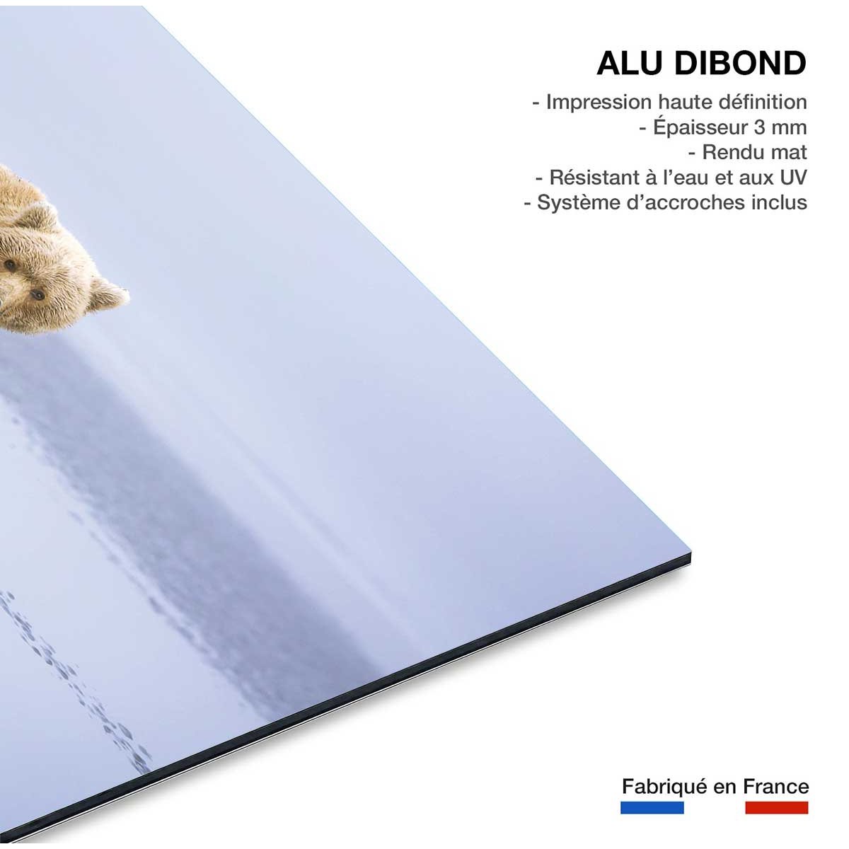 Tableau la marche de l'Ours tableau alu dibond, HEXOA