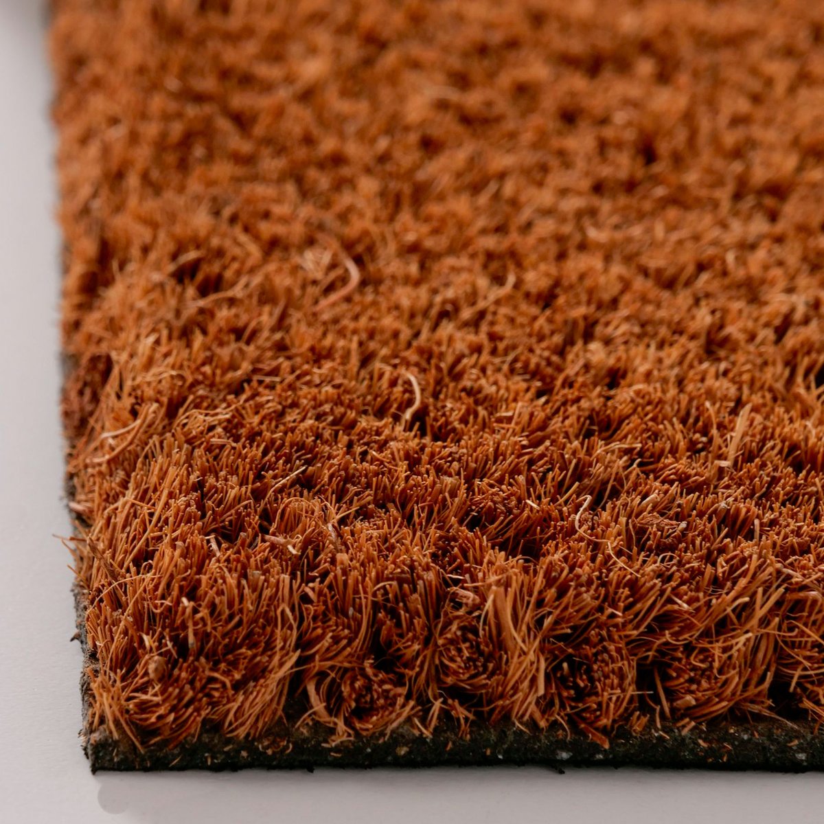 Paillasson coco écureuil 60x40x1.5cm marron, WADIGA