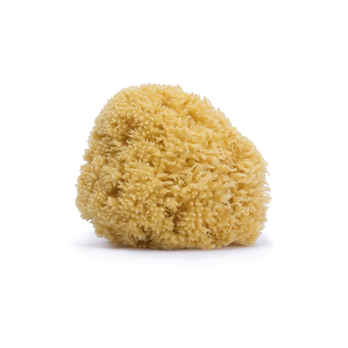 Éponge en fibre naturelle jaune, SUAVINEX