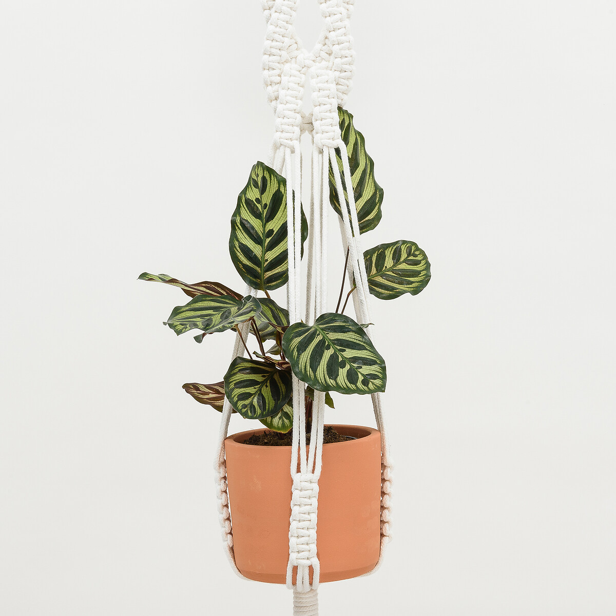 Plant Hanger Leveza, Klumba branco, KLUMBA