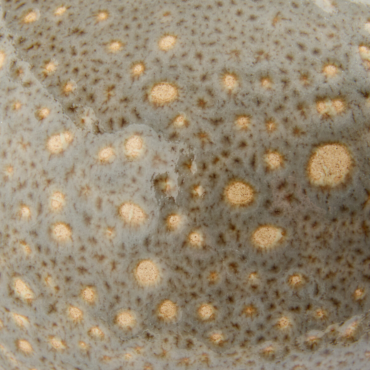 Vaso rotondo in ceramica smaltata maculata, altezza 18,5 cm, LECCIA grigio maculato, AM.PM