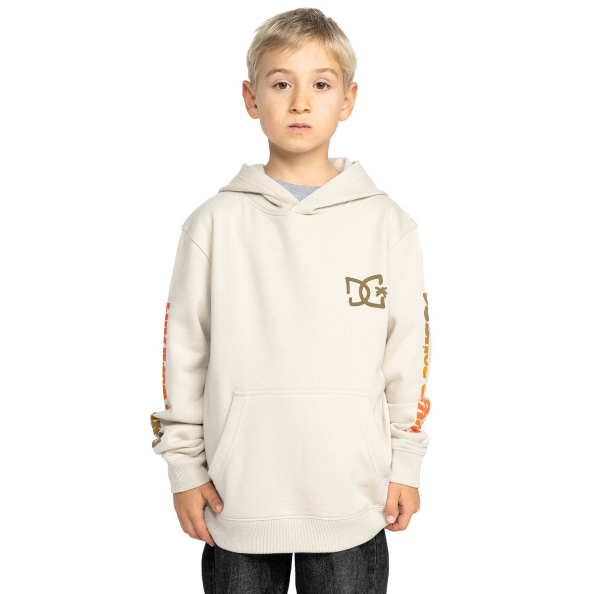 Sweat à capuche HOT BOX. gris pelican, DC SHOES
