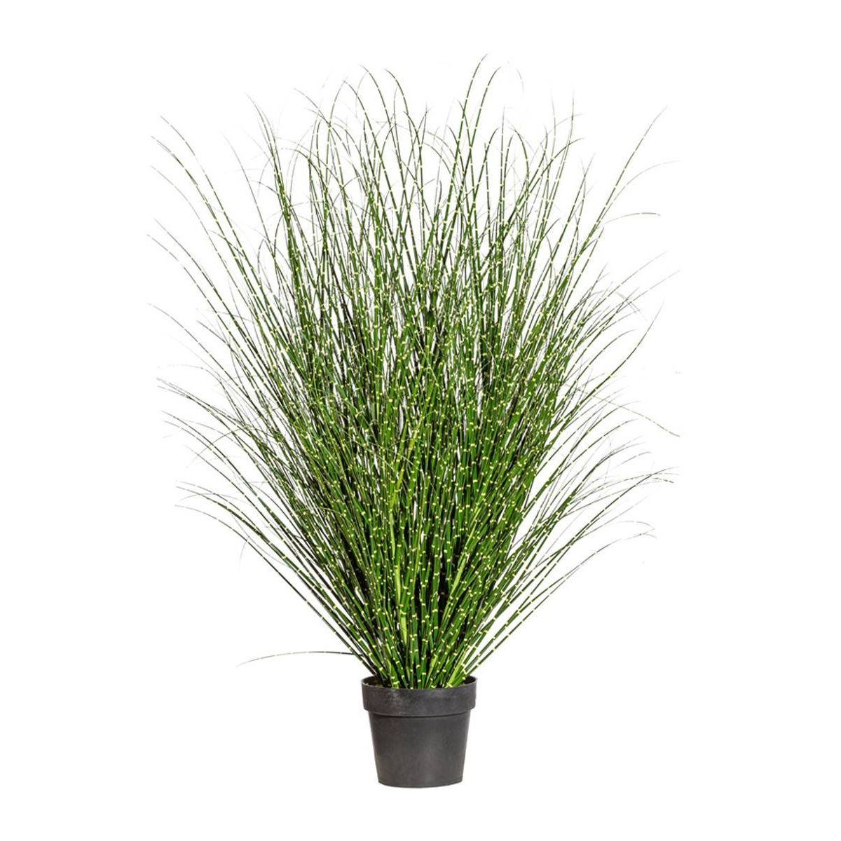 Miscanthus Zebrinus Factice,Graminée réalist vert, ARTIFICIELLES