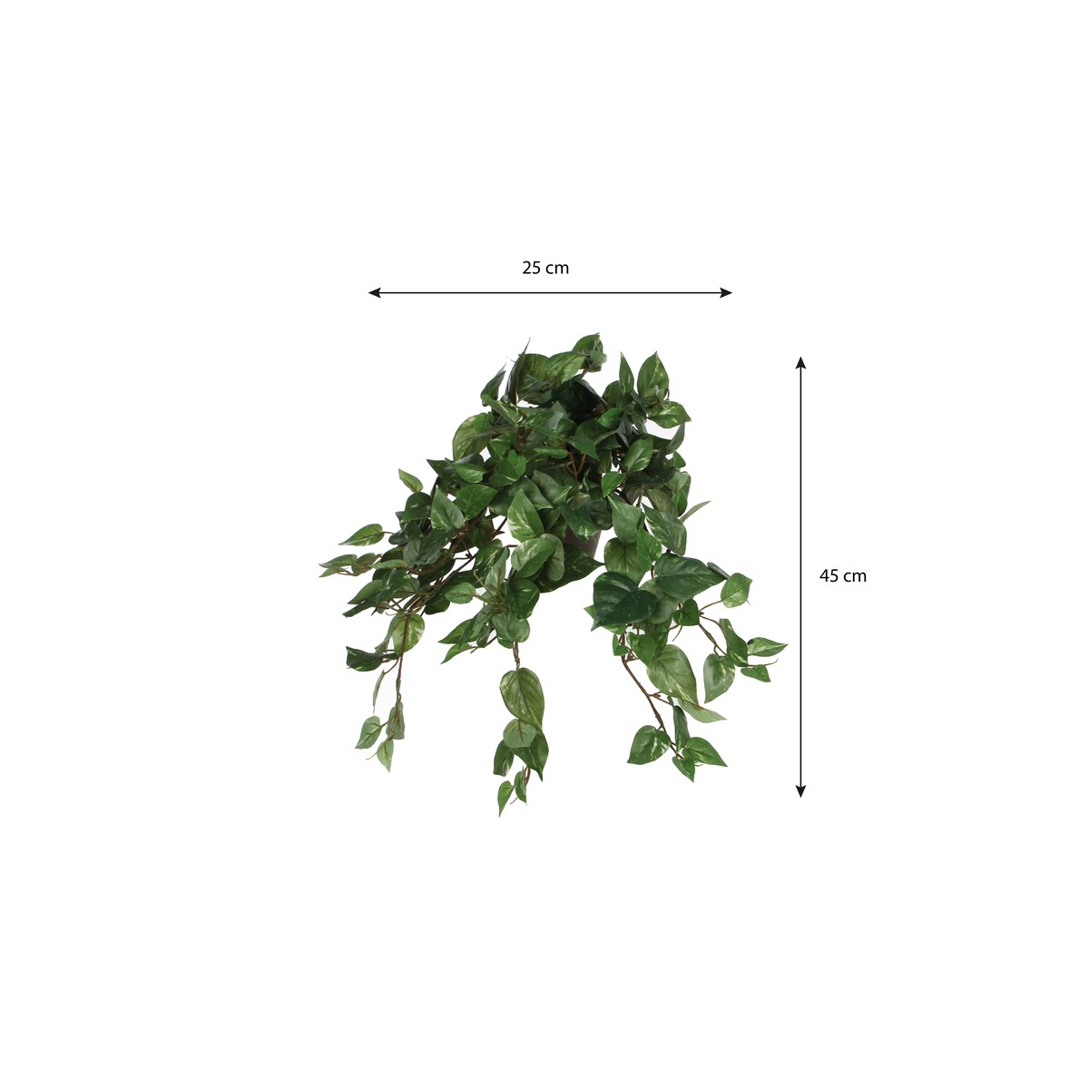 Plante artificielle SCINDAPSUS HANGING vert, MICA DECORATIONS