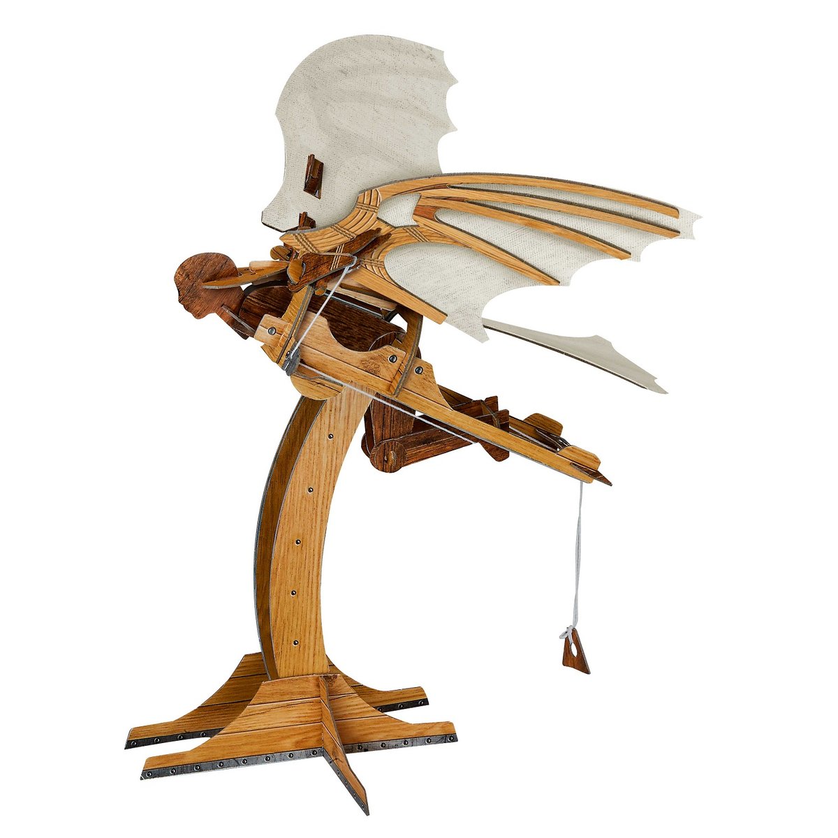 Les machines volantes de Léonard de Vinci beige, SASSI JUNIOR