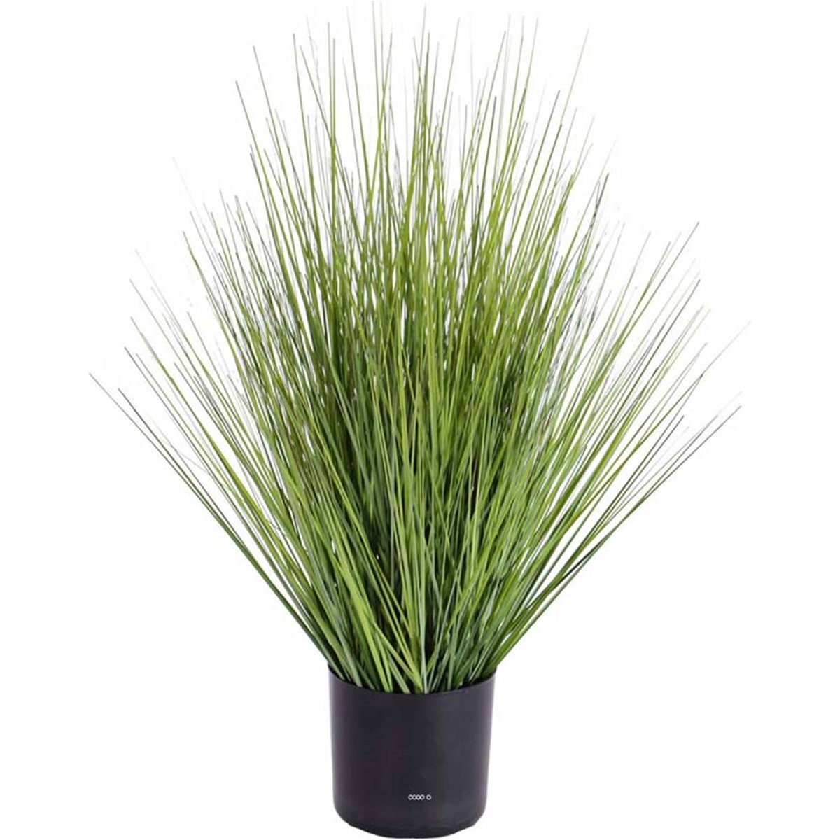 Isolepsis Herbes Graminees artificielles Vert v002239, ARTIFICIELLES