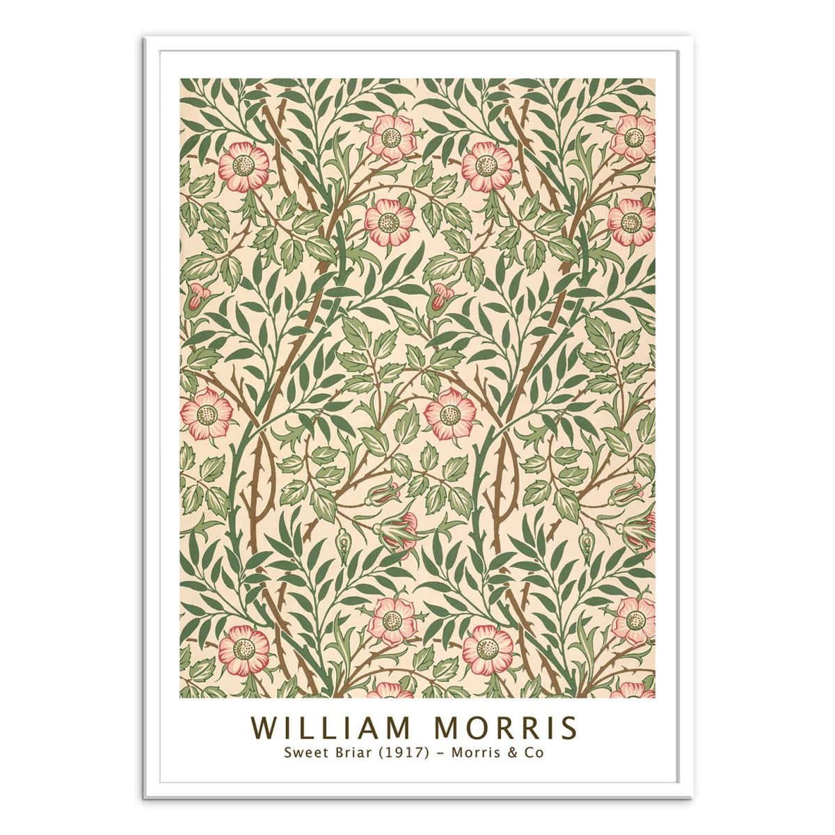 Affiche d'art - Sweet Briar 1917 - William Morris couleur unique, WALL EDITIONS