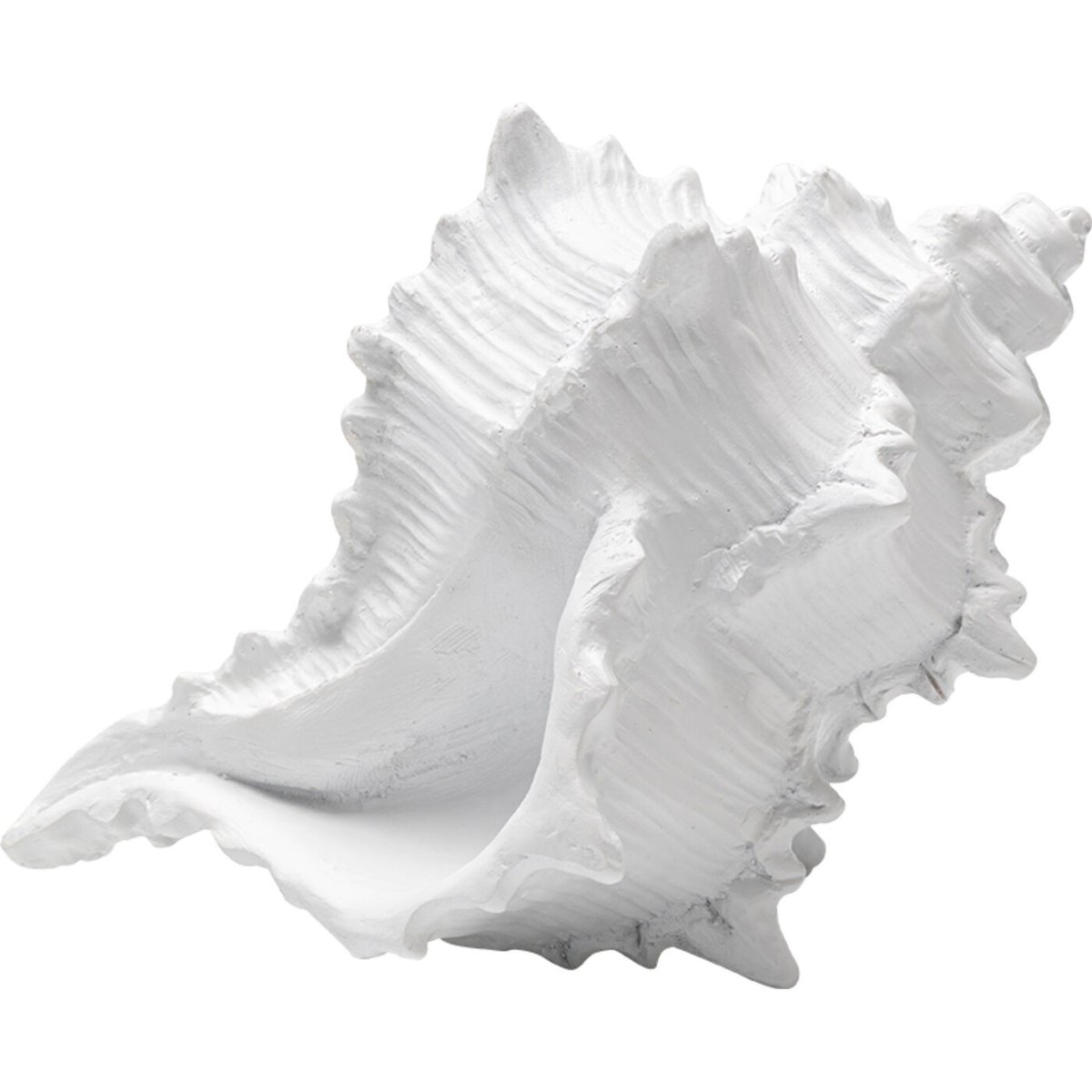 Déco coquillage blanc, KARE DESIGN