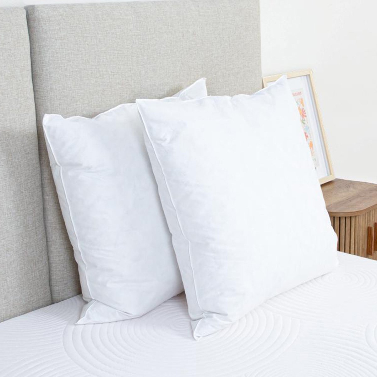 Oreiller Plumes et duvet NATURA blanc, BELLECOUR