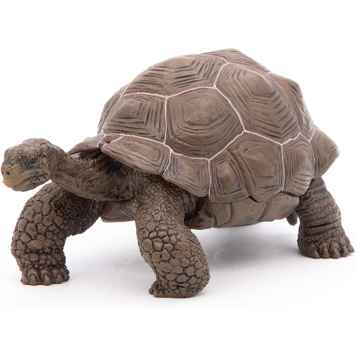 Figurine Tortue des galapagos marron, PAPO