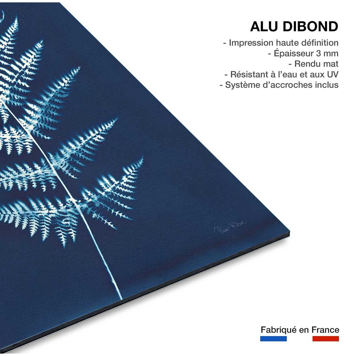 Tableau fleurs Duo fougères bleues tableau alu dibond, HEXOA